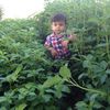 abodawood91