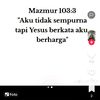 vidisae12