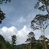 rebong03