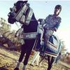 assil_alwerflly