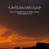 meymoun.e
