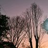 kusuma_pras