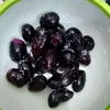 adityawillson8