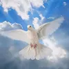 _paz.de.espirito_