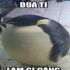 bkangdz