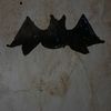 bruce__xd