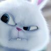 crazyrabbit335