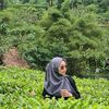 muneh_27