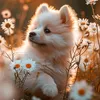 wandy_0103