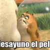josecastagnino71