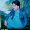 hafeeztanoli384