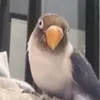 alanurbieta730