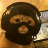 beemo_maddog