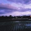 yuzkhamuzaki