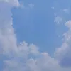 cheaf06