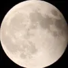 dyyf0xsj5xdd