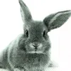 sunny_joerg