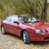 zagadka832