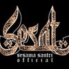 sesamasantriofficial