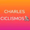 charlissantos649