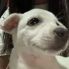 sndythy