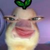 cellyaanahere