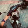 alongfahmy