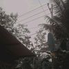 berisikk_bettt