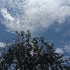 nsb._16