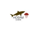 hosam9332