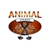 animalgymwear