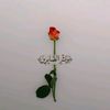 om_wissam01