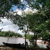 araujoeliasjunior