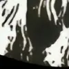kiwhwhw_12