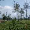 hellloalam_