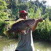 angler kidal