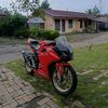 bangawy_0