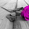 newuser_952