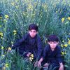 khurram.shahzad61241