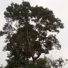 sambalterasi44322344