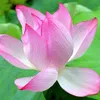 meomuop_2502_