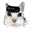 full_ranma