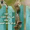 user5761776512997