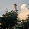 zahrotul.u