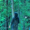 aqsay62