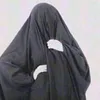 zdh23n97