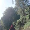 kamelia1234566