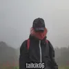 taikik06