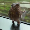 exmonka1