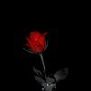 user2435372074713